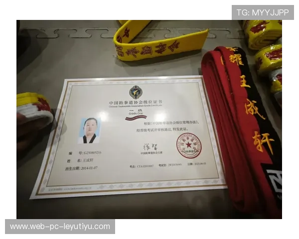 跆拳道学院完善青少年等级证书的管理与认可机制，跆拳道级别认证机构