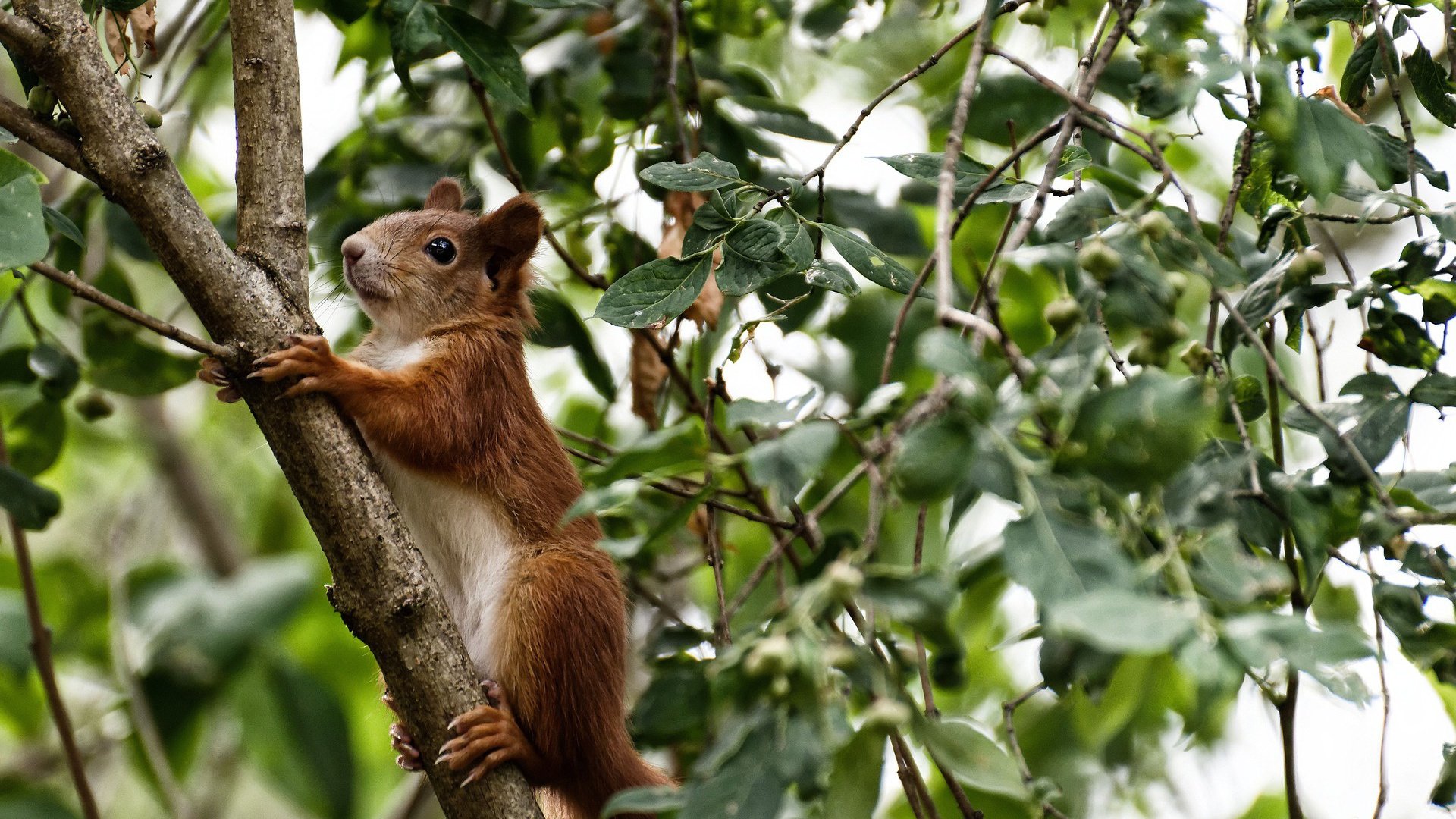 青少年球员营养管理普遍薄弱，我国青少年营养现状报告