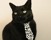 青少年球员营养管理普遍薄弱，我国青少年营养现状报告