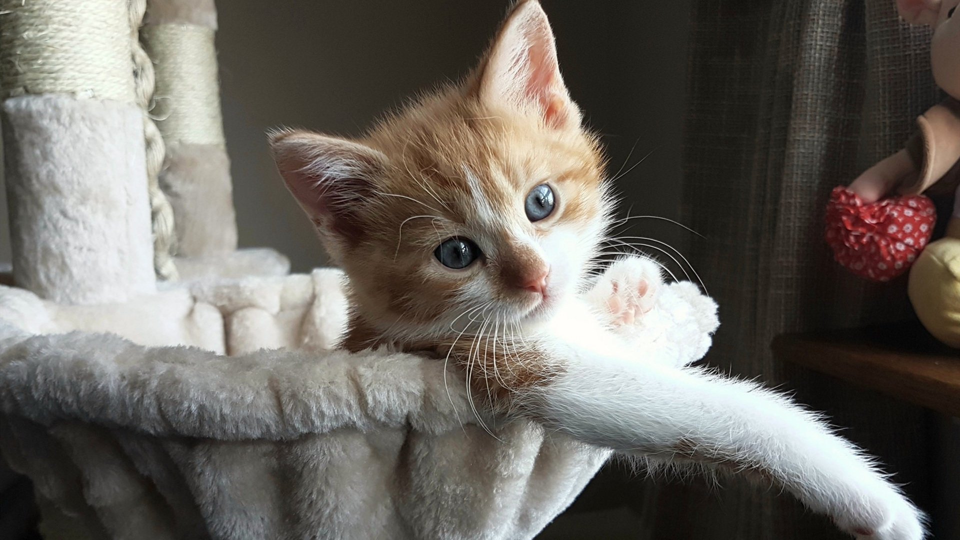 C罗再度刷新生涯进球纪录,c罗 进球纪录