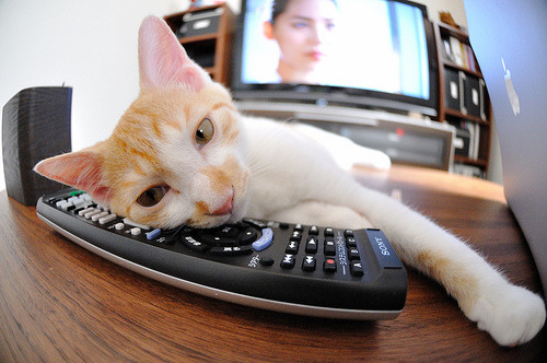 中国女排迎战强敌主帅部署针对策略，中国女排主力抵意