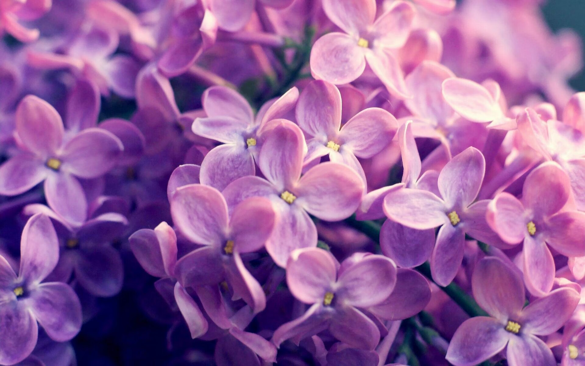 中国足球联赛强化裁判执法监督体系,中国足协裁判监督