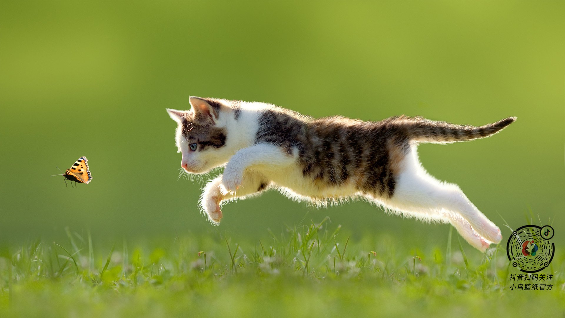 中超球队冬歇期赴国外拉练加强技战术磨合,中超冬歇期多长时间