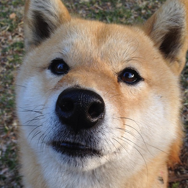 乐鱼体育网页登录-乌拉圭女篮在南美锦标赛中展现新风貌，迈向世界舞台，乌拉圭 南美