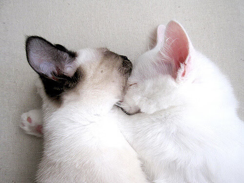 乐鱼体育下载-伊利亚·哈伦刷新个人100米蝶泳纪录